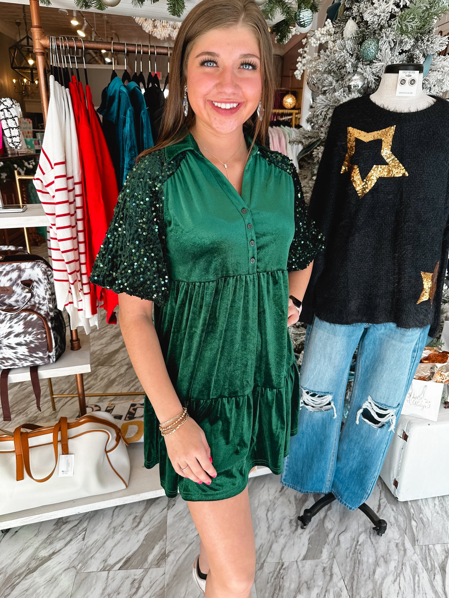 Evergreen Holiday Sequin & Velvet Dress