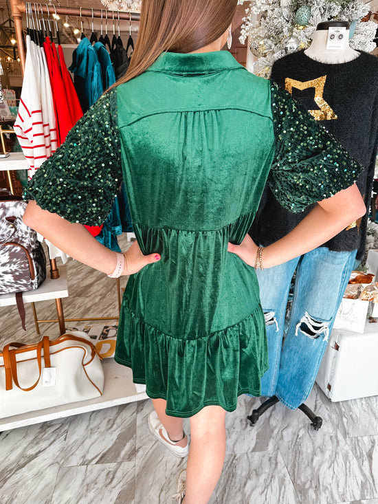 Evergreen Holiday Sequin & Velvet Dress