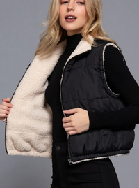 Frosted Reversible Fur Lined Puff Black Vest